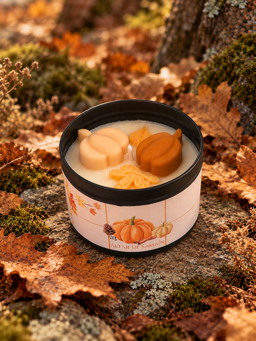 Vela · Calabaza & Clavo