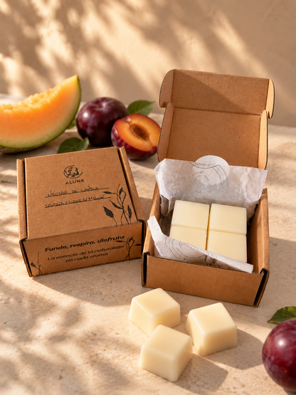 Wax Melts · Sandía & Melón
